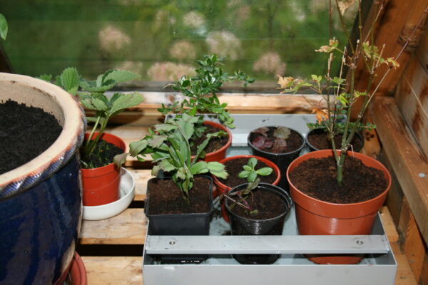 Getting Started with Potting