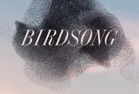 Birdsong