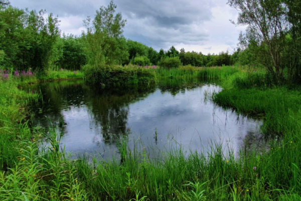 Watering seeds of change