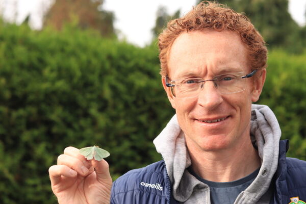 Kerry’s Marvelous Moths