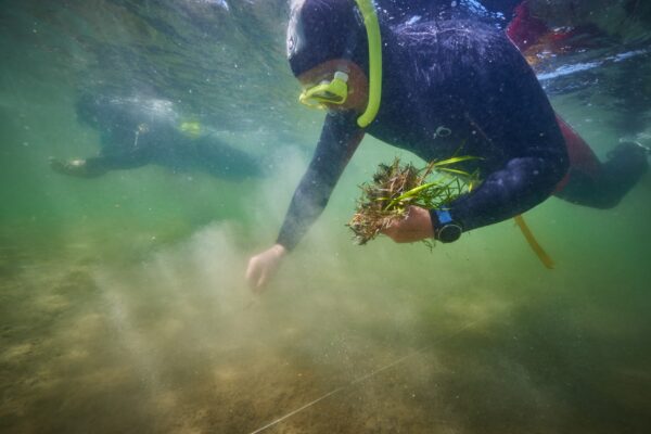 Marine Protection Panel