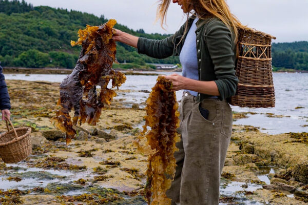 Sensory Coastal Foraging Walk