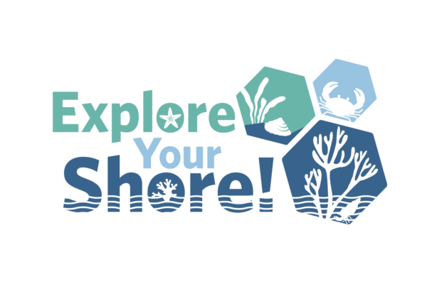 The Big Beach Biodiversity Survey